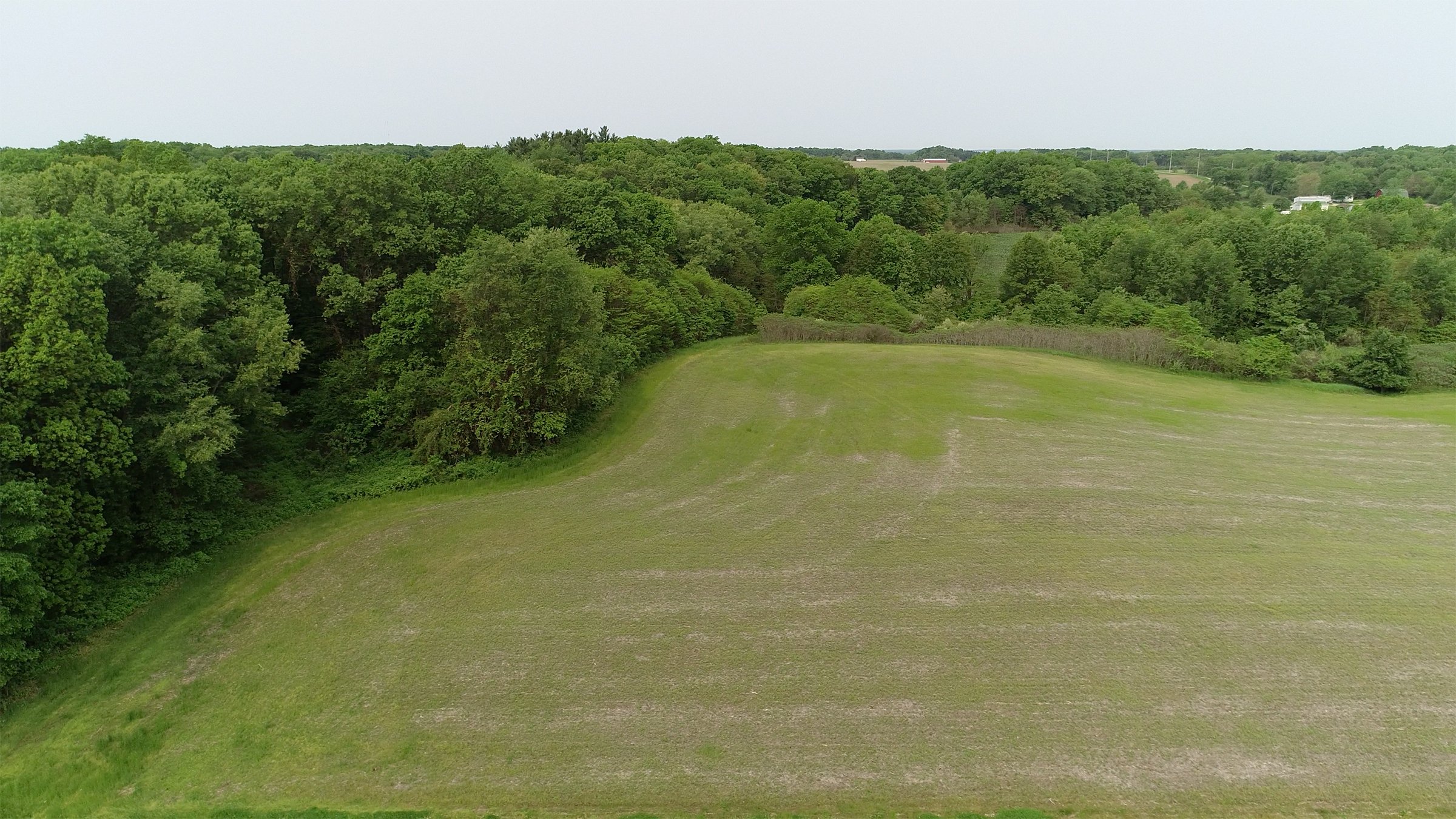 Van Buren County, Michigan farmland - LAND AUCTION - 194+/- ACRES OFFERED IN 5 TRACTS IN VAN BUREN COUNTY, MICHIGAN